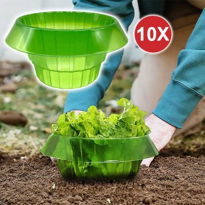 Tieni lontani i parassiti con VEGISHIELD (10 pezzi)