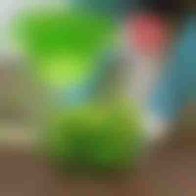 Tieni lontani i parassiti con VEGISHIELD (10 pezzi)