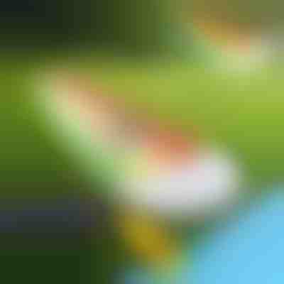 Scivolo gonfiabile (465x80cm) | REEFLY