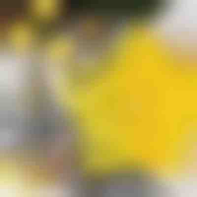 Tagliabiscotti a forma di stella (6 pezzi) | STARCUTS