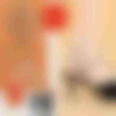 Cinghie eleganti per tacchi alti (4 pezzi) | LUXSTRAP