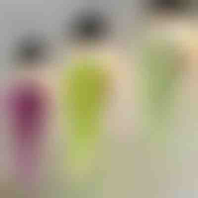 Pianta decorativa a sospensione | IVYORA