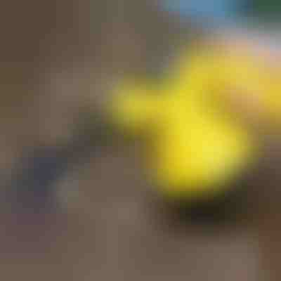 Pulitore a vapore per la disinfezione | VAPERO