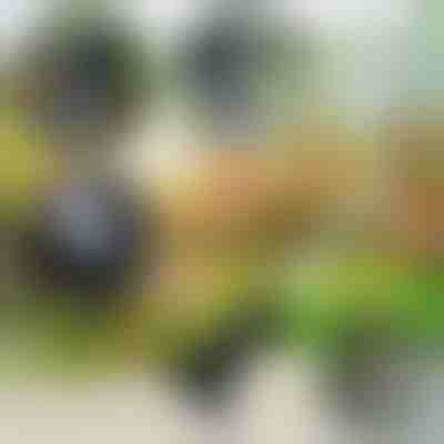 Attrezzo da giardino 4 in 1 | VERSAX