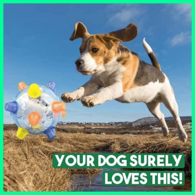 Palla interattiva rimbalzante per cani con suono e luci LED | ACTIBALL